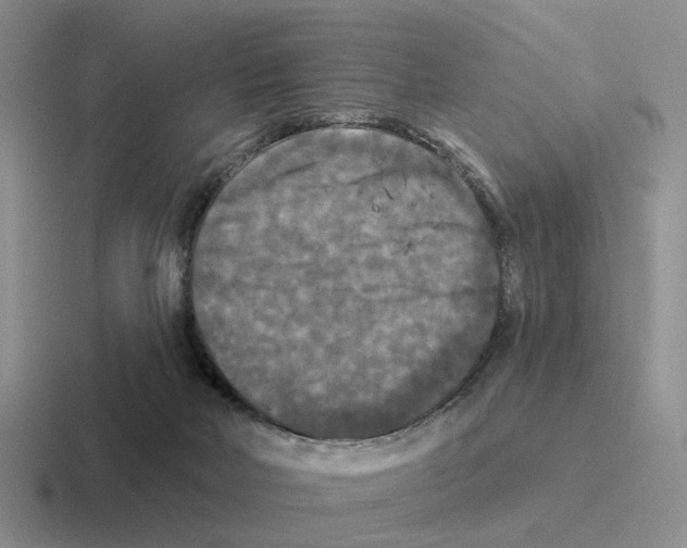 X0000116570026201001071203