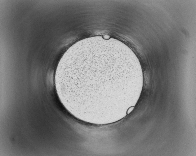 X0000116570028201001071203