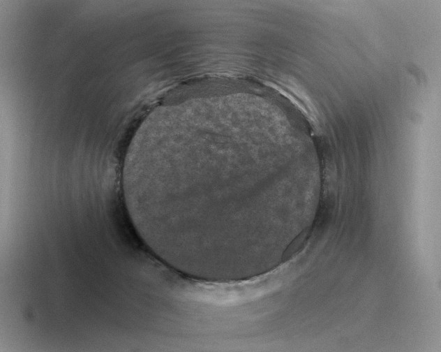 X0000116570029201001071203