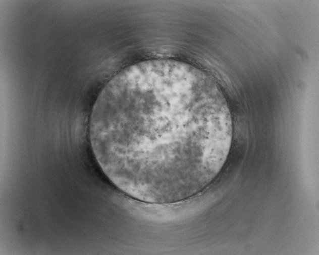 X0000116570030201001071203