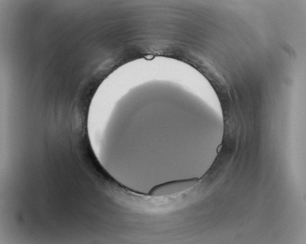 X0000116570031201001071203