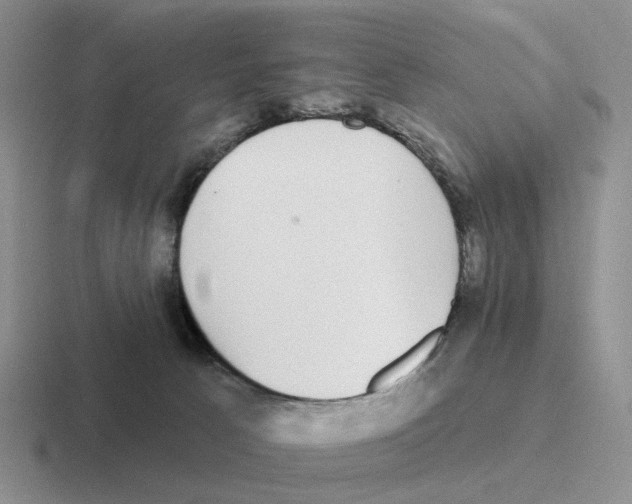 X0000116570033201001071203