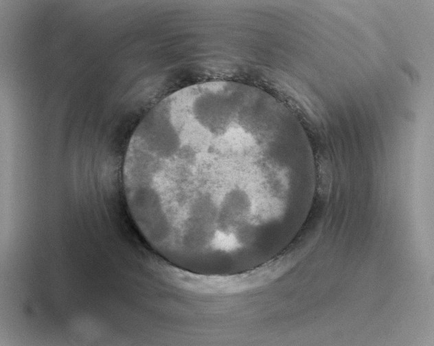 X0000116570034201001071203