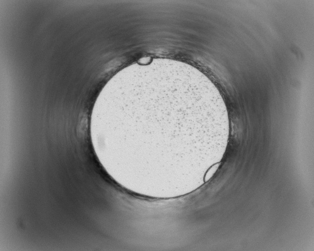 X0000116570036201001071203