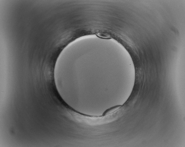 X0000116570039201001071203