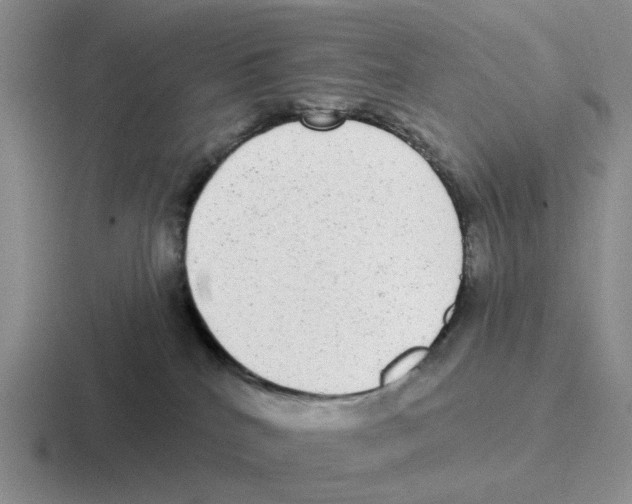 X0000116570040201001071203