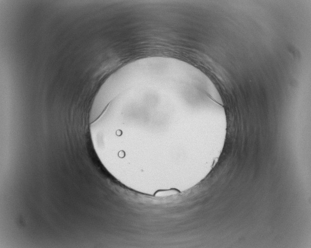 X0000116570043201001071203