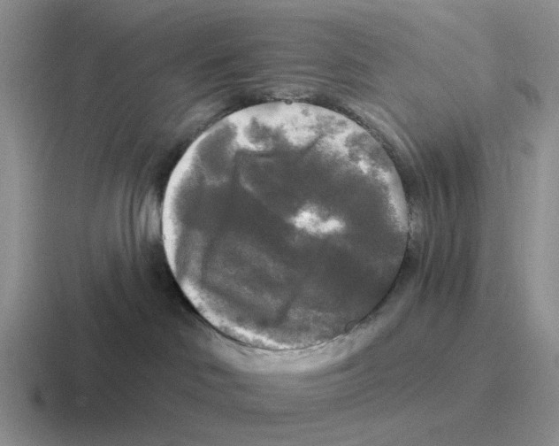 X0000116570046201001071203