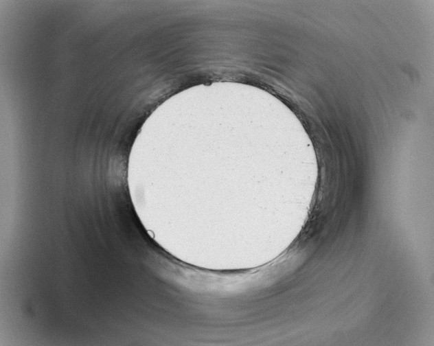 X0000116570048201001071203