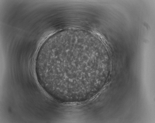 X0000116570049201001071202