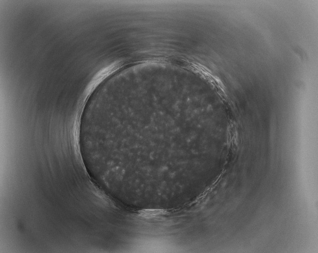 X0000116570051201001071202