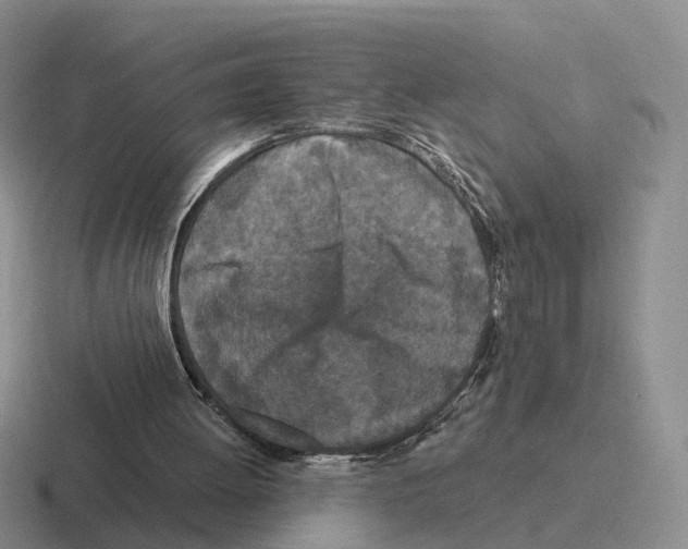 X0000116570052201001071202