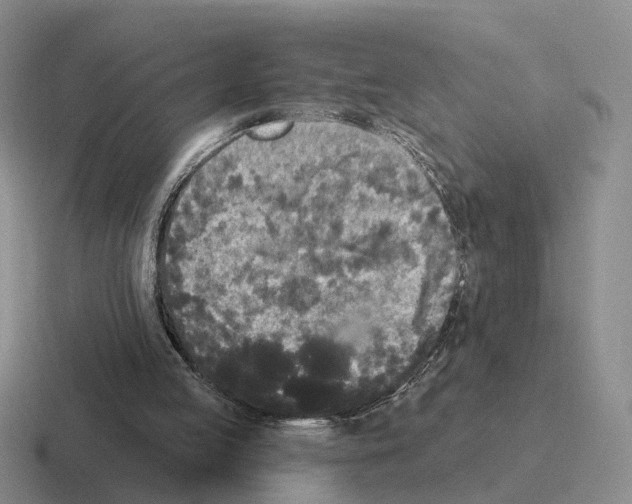 X0000116570053201001071202