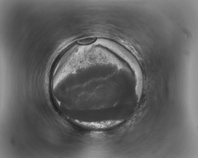 X0000116570055201001071202