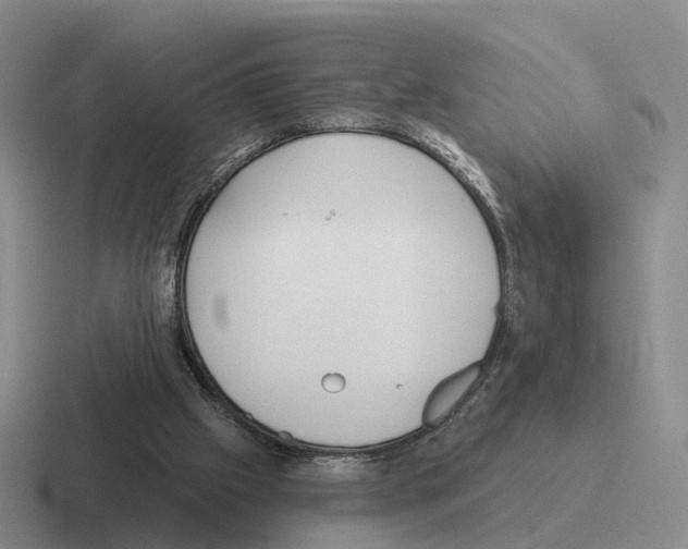 X0000116570057201001071202