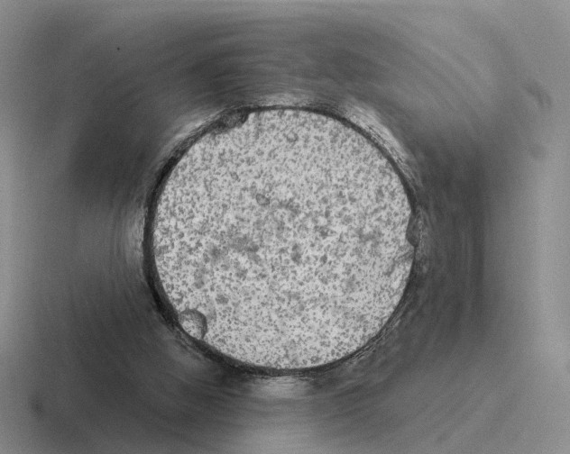 X0000116570058201001071202