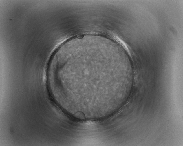 X0000116570059201001071202