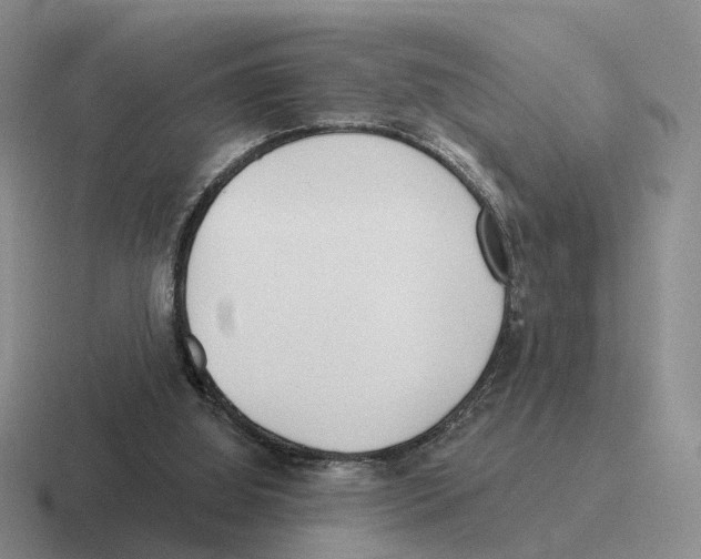 X0000116570060201001071202