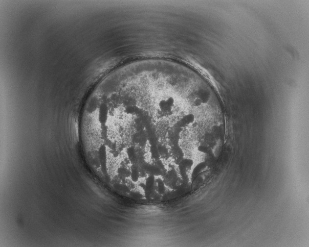 X0000116570061201001071202