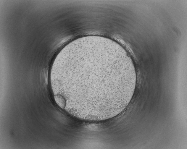 X0000116570062201001071202