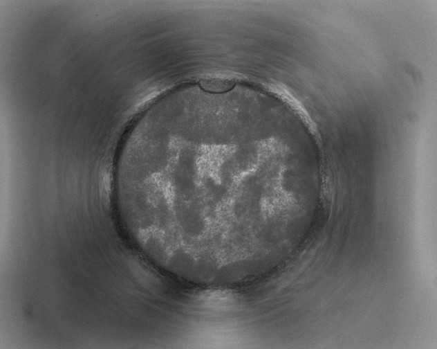 X0000116570063201001071202