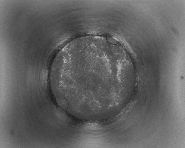 X0000116570066201001071203