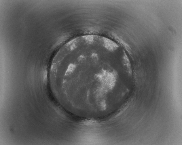 X0000116570067201001071203