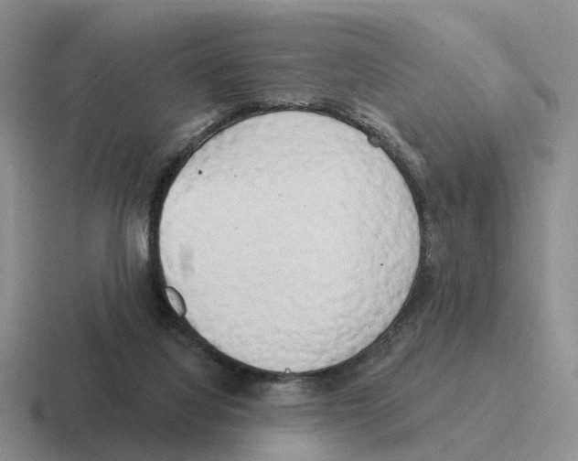 X0000116570068201001071203