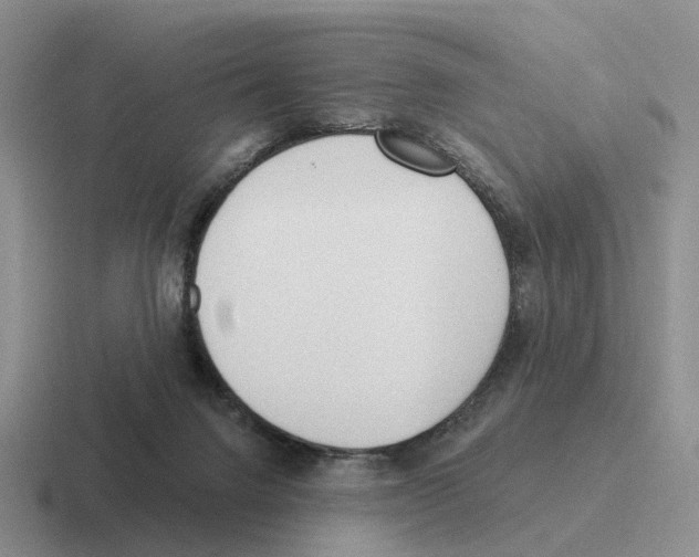 X0000116570072201001071203