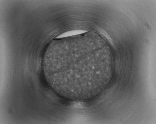 X0000116570073201001071203