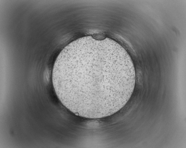 X0000116570075201001071203