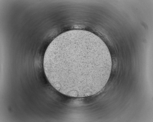 X0000116570078201001071203