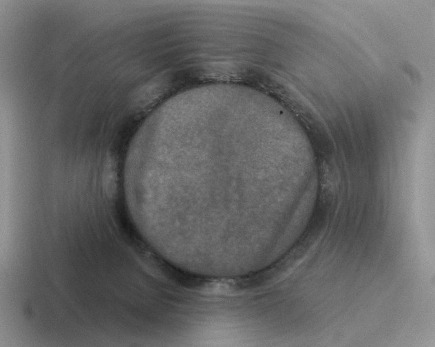 X0000116570080201001071203