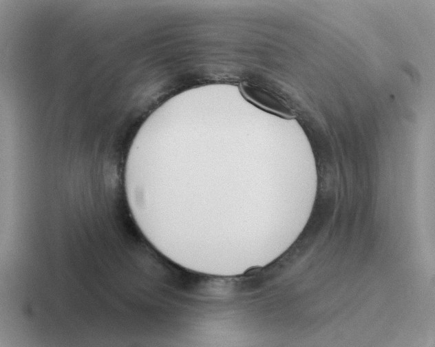 X0000116570084201001071203