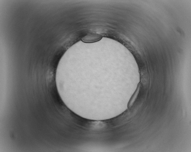 X0000116570087201001071203