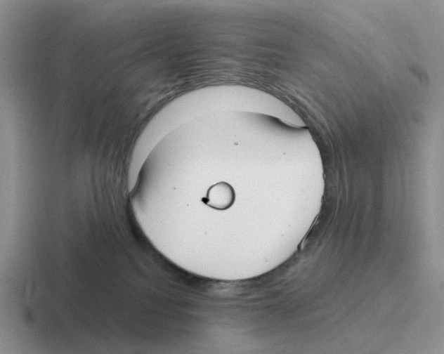 X0000116570088201001071203