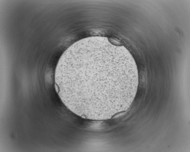 X0000116570090201001071203