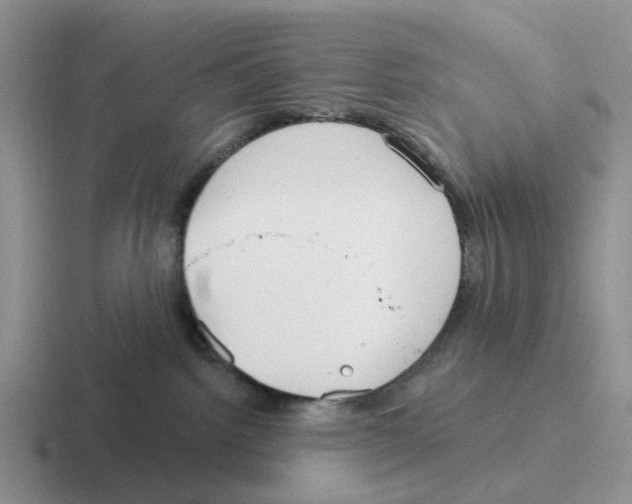 X0000116570092201001071203