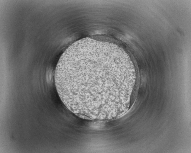 X0000116570094201001071203