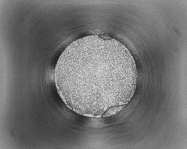 X0000116570095201001071203