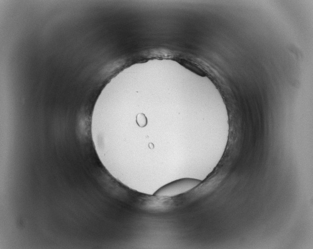 X0000116570096201001071203