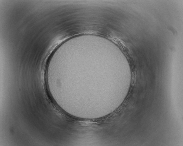 X0000116570098201001071202