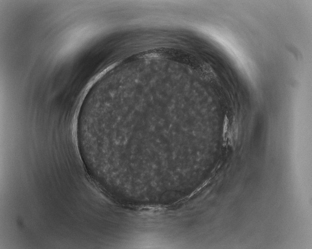 X0000116570099201001071202