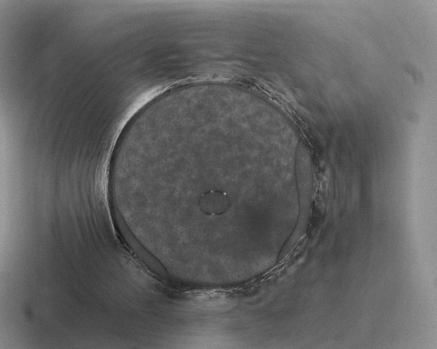 X0000116570100201001071202