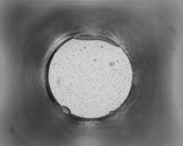 X0000116570103201001071202