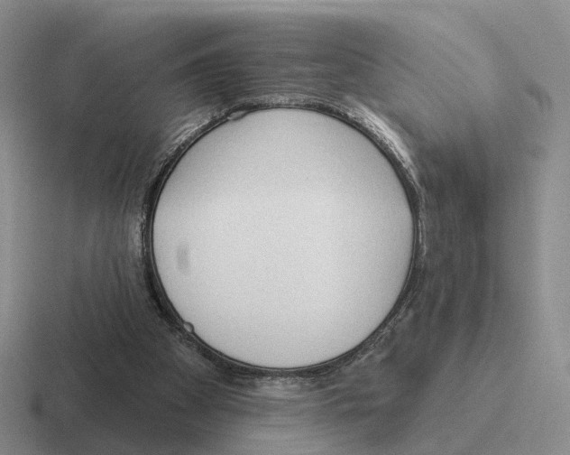 X0000116570105201001071202