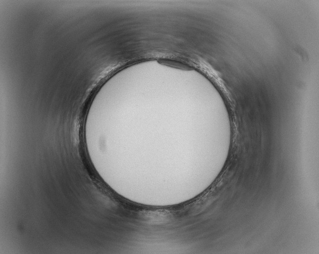 X0000116570106201001071202