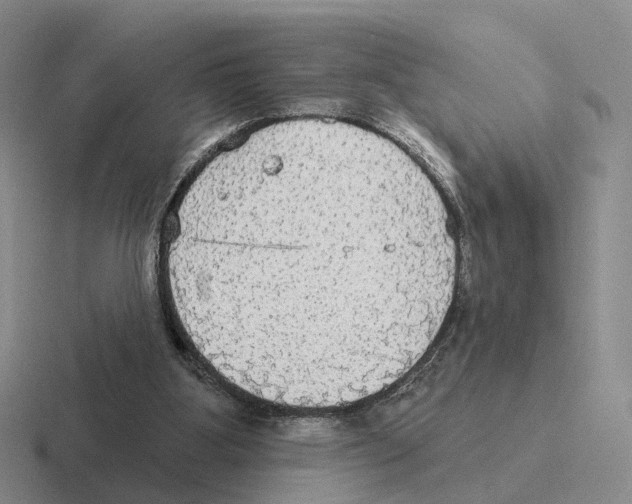 X0000116570107201001071202