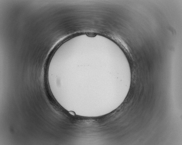 X0000116570108201001071202