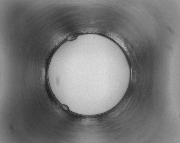 X0000116570109201001071202